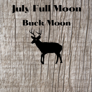 July-Buck Moon