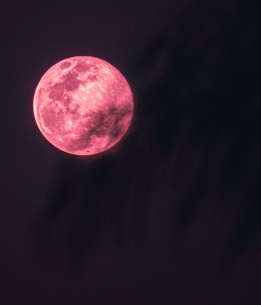 Pink Moon